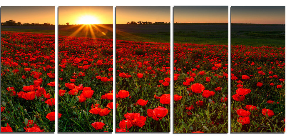 Sunset over Garden with Red Poppies, Floral Canvas Art Print, 60"x28", 5 Panels