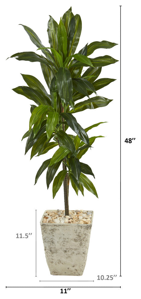 4'' Dracaena Artificial Plant, Country White Planter, Real Touch