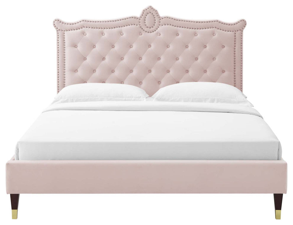 Platform Bed Frame, Nailhead, Queen Size, Pink, Velvet, Modern, Guest Suite