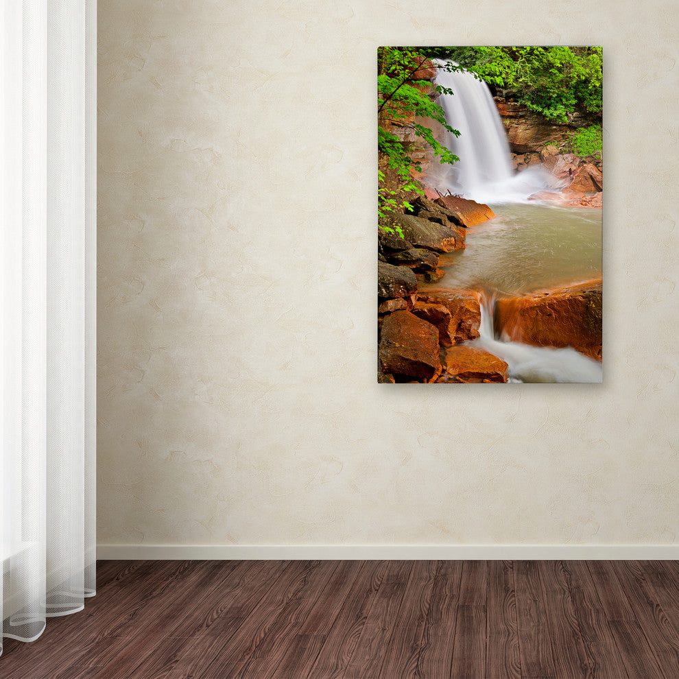 Michael Blanchette 'Douglas Falls' Canvas Art, 24x16