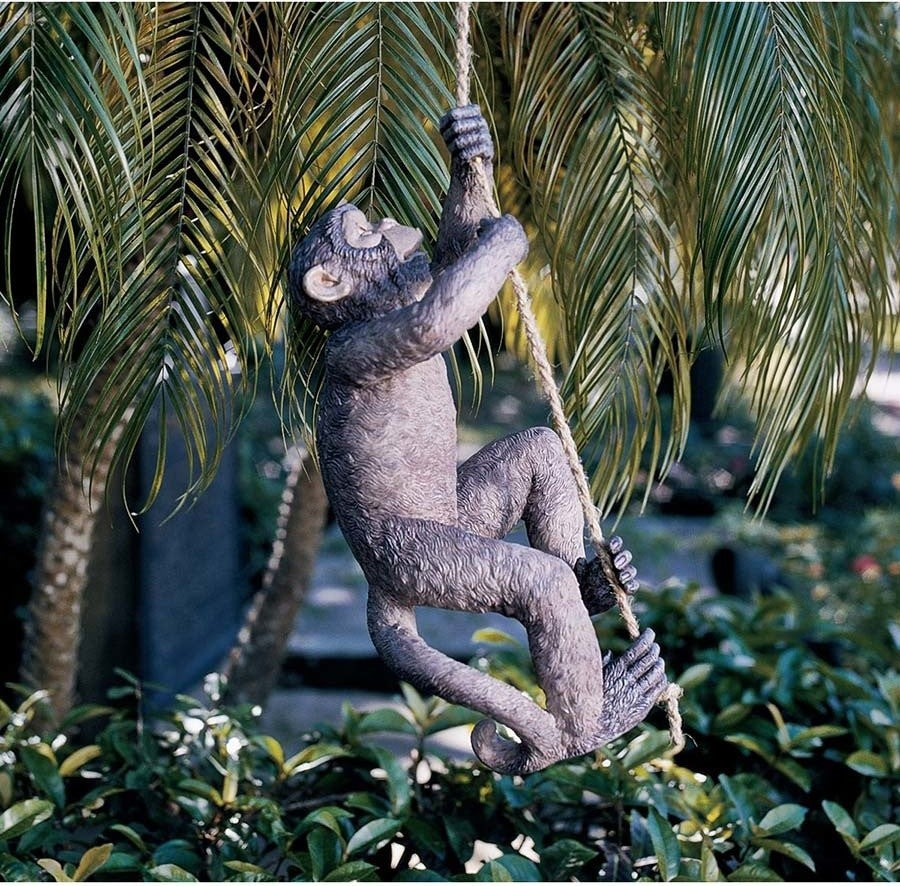 Makokou the Climbing Monkey