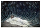 "Jesus Ministered to by Angels" Digital Paper Print by James Tissot, 32"x22"