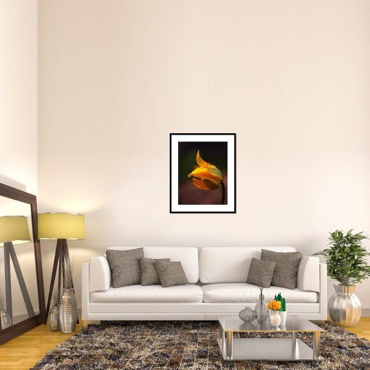 "Shine" Framed Digital Print by Kent Mathiesen, 31x38"