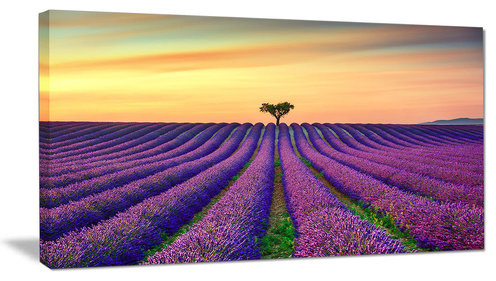 "Lavender Flower Rows in Provence" Landscape Wall Art Print, 1 Panel, 60"x28"