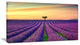 "Lavender Flower Rows in Provence" Landscape Wall Art Print, 1 Panel, 60"x28"