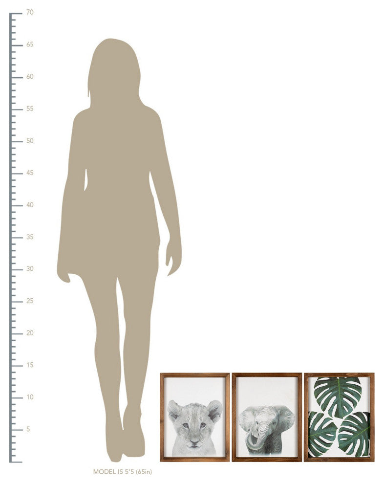 Jungle Safari Modern Wall Art Set