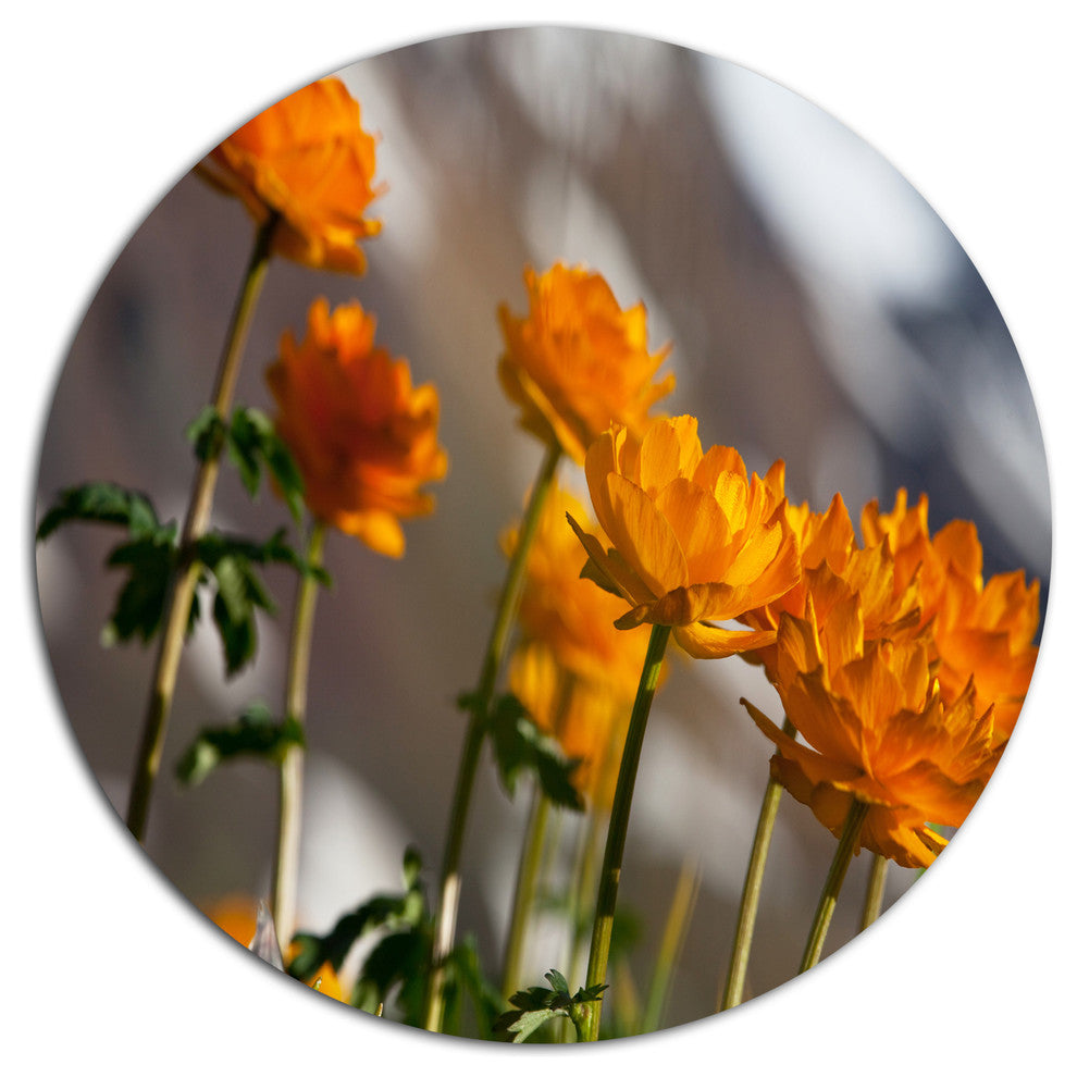 Attractive Small Yellow Flowers, Flower Round Wall Art, 11"