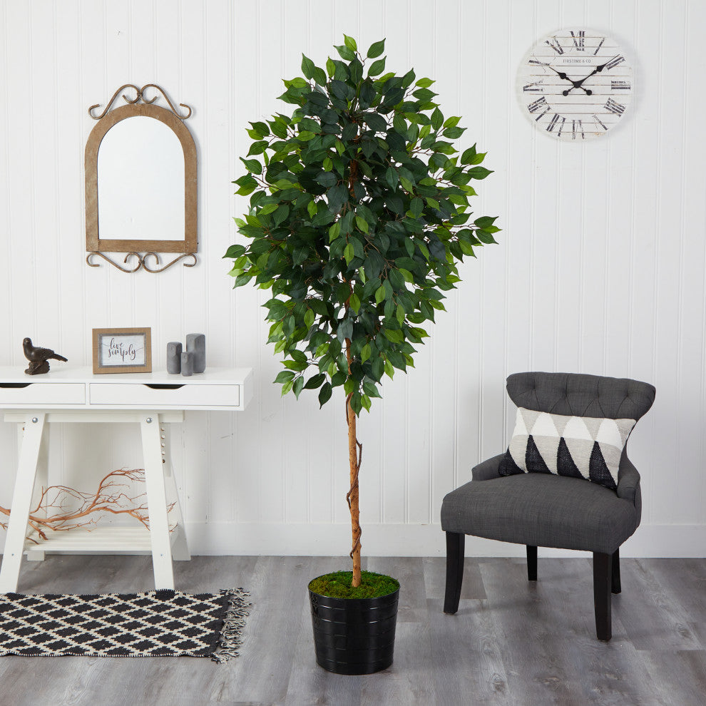 74" Ficus Artificial tree, Black Tin Planter