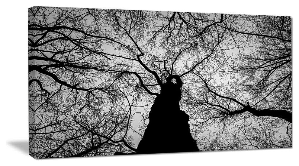 Hoto of Winter Branches, Landscape Canvas Art Print, 60"x28"