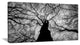 Hoto of Winter Branches, Landscape Canvas Art Print, 60"x28"