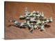 "Thorny Devils" Wrapped Canvas Art Print, 24"x16"x1.5"
