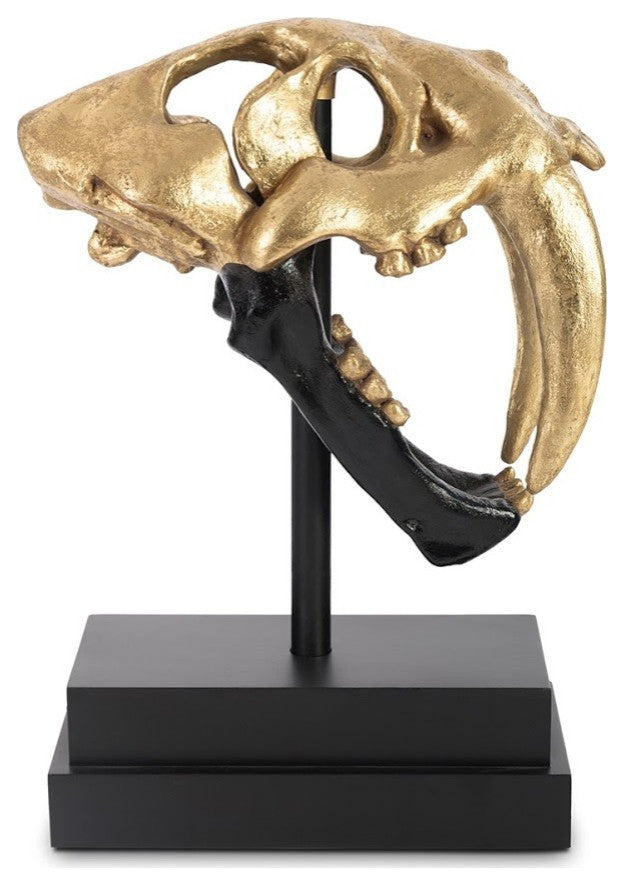 Saber Tooth Tiger Skull, Black, Gold Leaf
