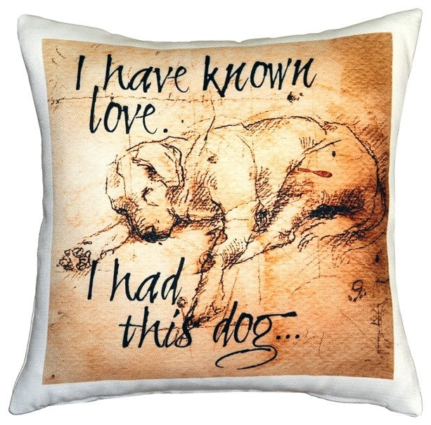Leonardo's Dogs I Have Known Love Sleeping Lab Dog Pillow
