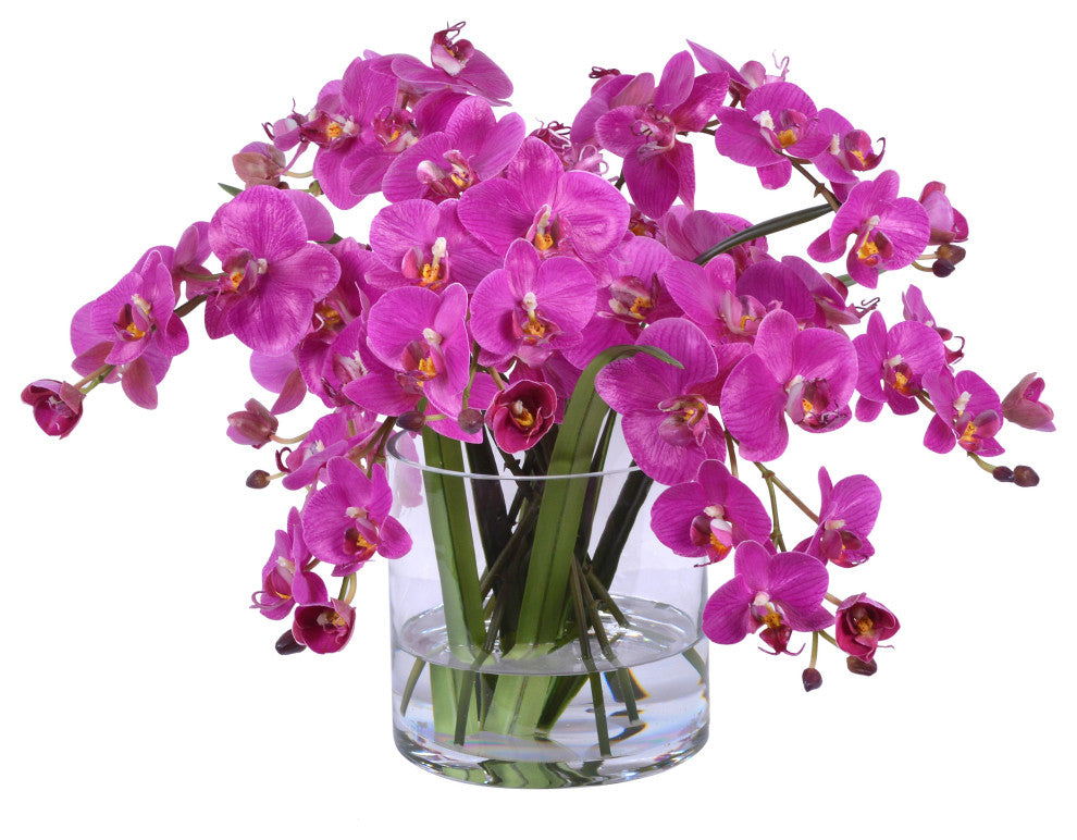 Orchid Phalaenopsis in Glass, 13", Fuschia