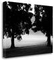 "Fog In The Park II" By Gary Bydlo, Giclee Print on Gallery Wrap Canvas
