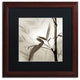 Alan Blaustein 'Florison 64' Art, Wood Frame, Black Mat, 16x16