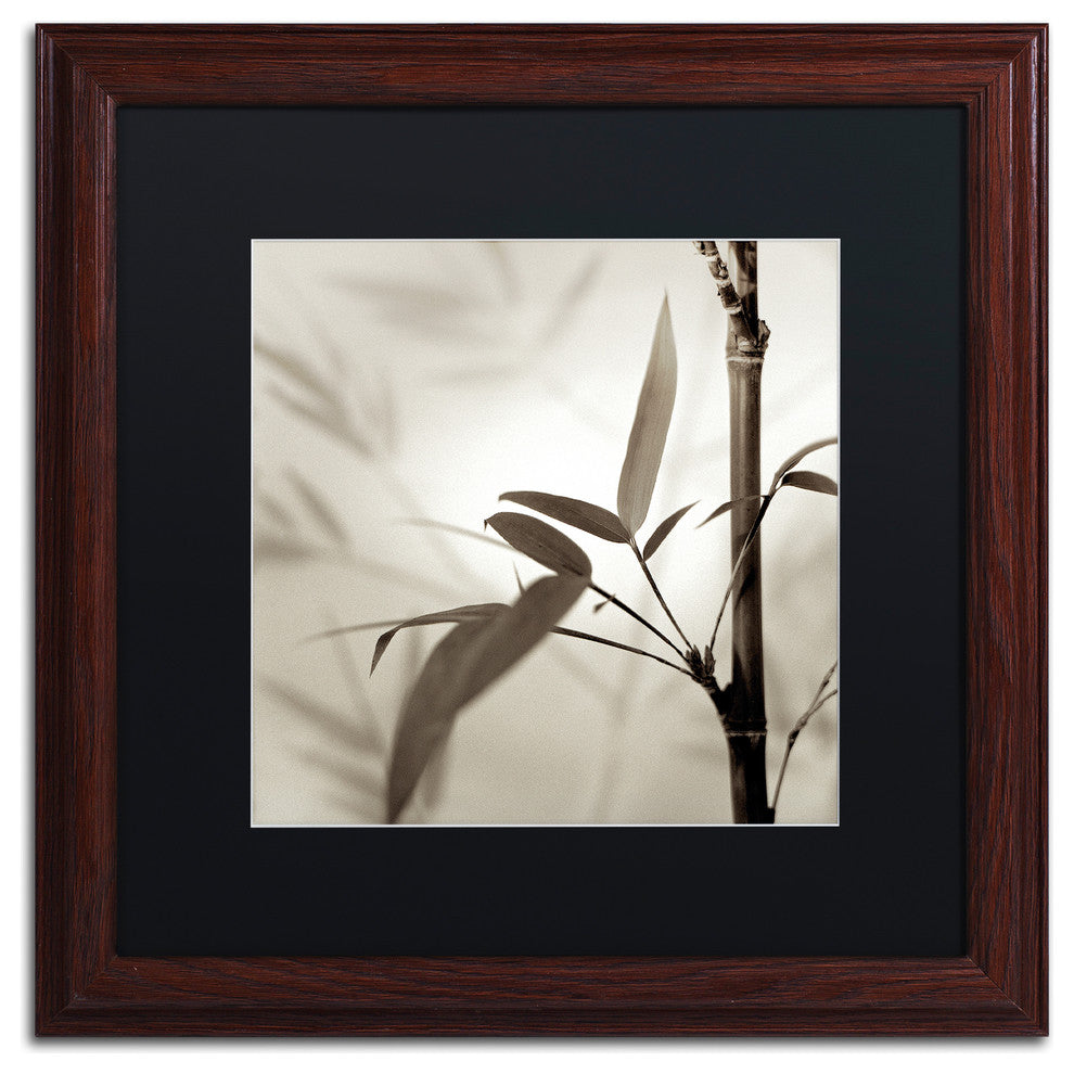 Alan Blaustein 'Florison 64' Art, Wood Frame, Black Mat, 16x16