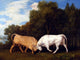 Tile Mural Bulls Fighting Livestock By George Stubbs, 6"x8", Glossy