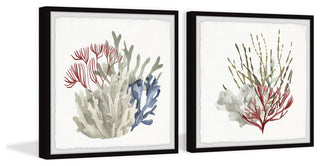 Seaweed and Corals Diptych, 2-Piece Set, 32x32 Panels