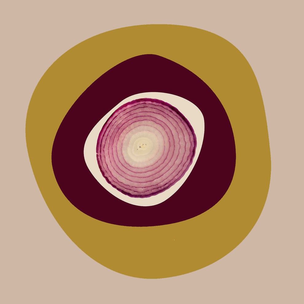 "September Onion" Painting Print on Canvas by Irena Orlov