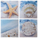 Beach Set of 4 Coastal Animal Art