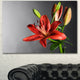 Cute Red Lily Flower over Black, Flowers Canvas Wall Artwork, 40"x30"