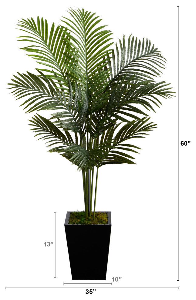 5' Paradise Palm Artificial Tree, Black Metal Planter