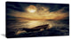 Middle of Ocean after Storm, Floral Canvas Art Print, 40x20