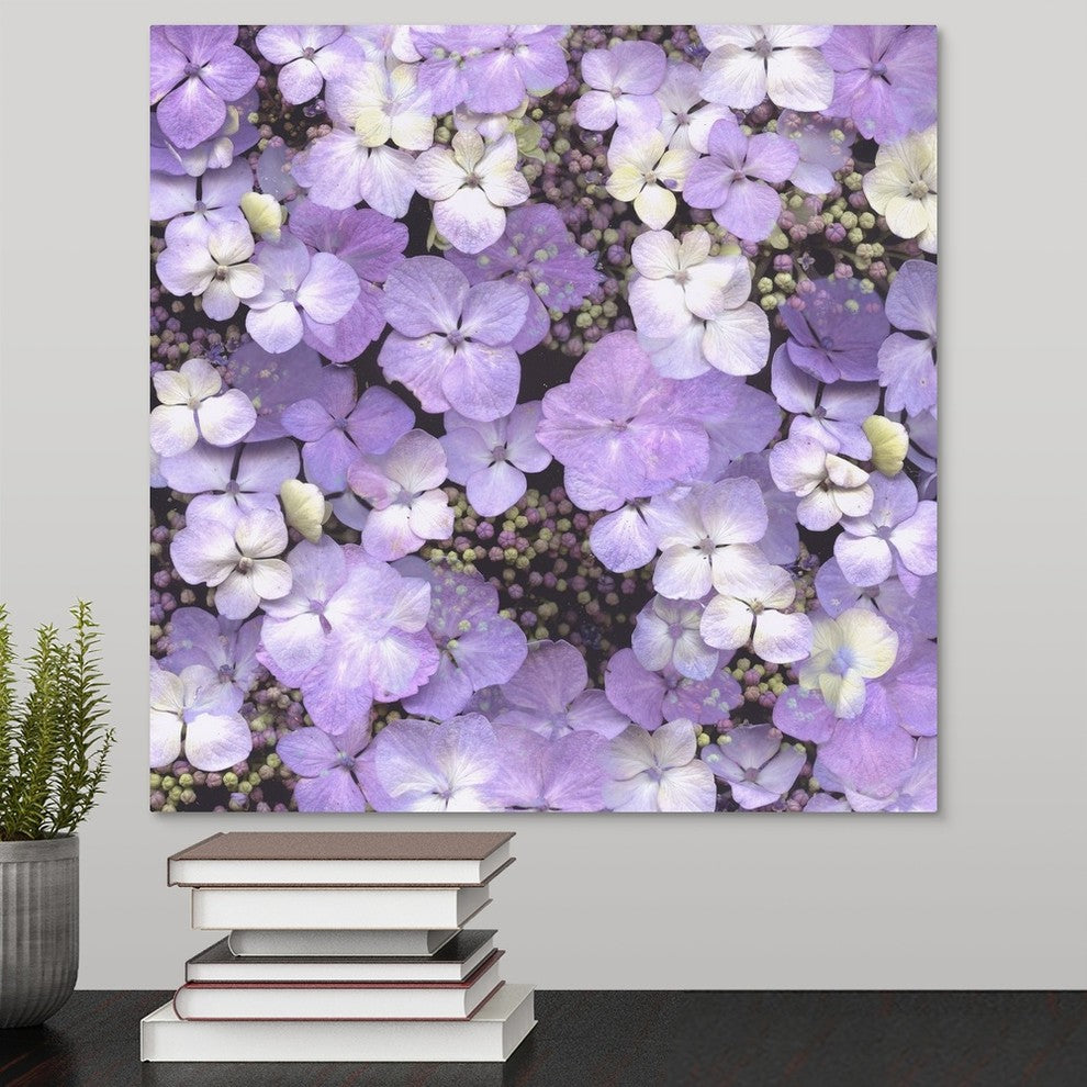 "Hydrangea Glory" Wrapped Canvas Art Print, 16"x16"x1.5"