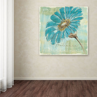 'Spa Daisies II' Canvas Art by Chris Paschke