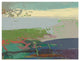 "Ceide Study XIV" Digital Paper Print by Grainne Dowling, 42"x32"