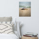 Baby Loggerhead Sea Turtle Beach Ocean Photograph Loose Wall Art Print, 16" X 20"