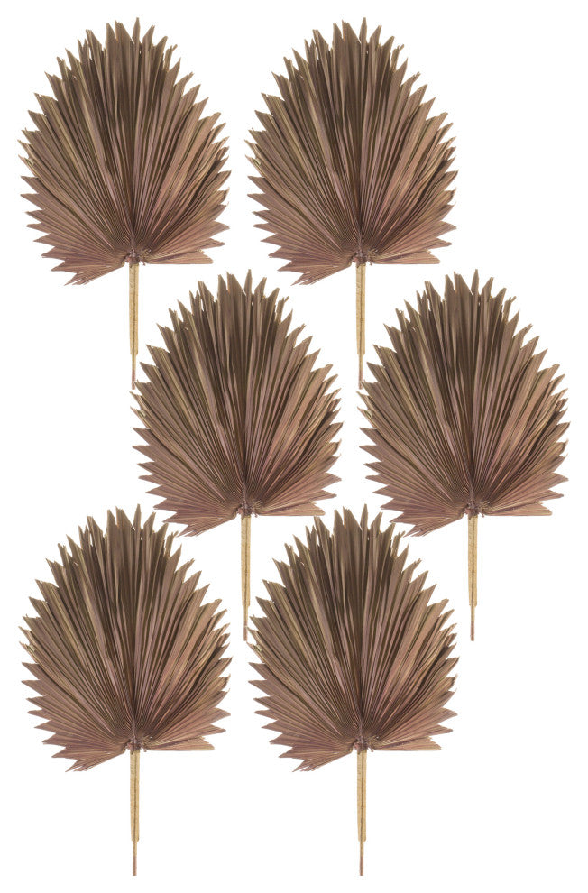 Fan Palm Leaf, 6-Piece Set