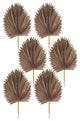 Fan Palm Leaf, 6-Piece Set