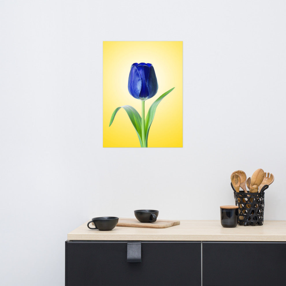 Blue Tulip Minimal Floral Nature Photo Botanical Loose Unframed Wall Art Print, 18" X 24"