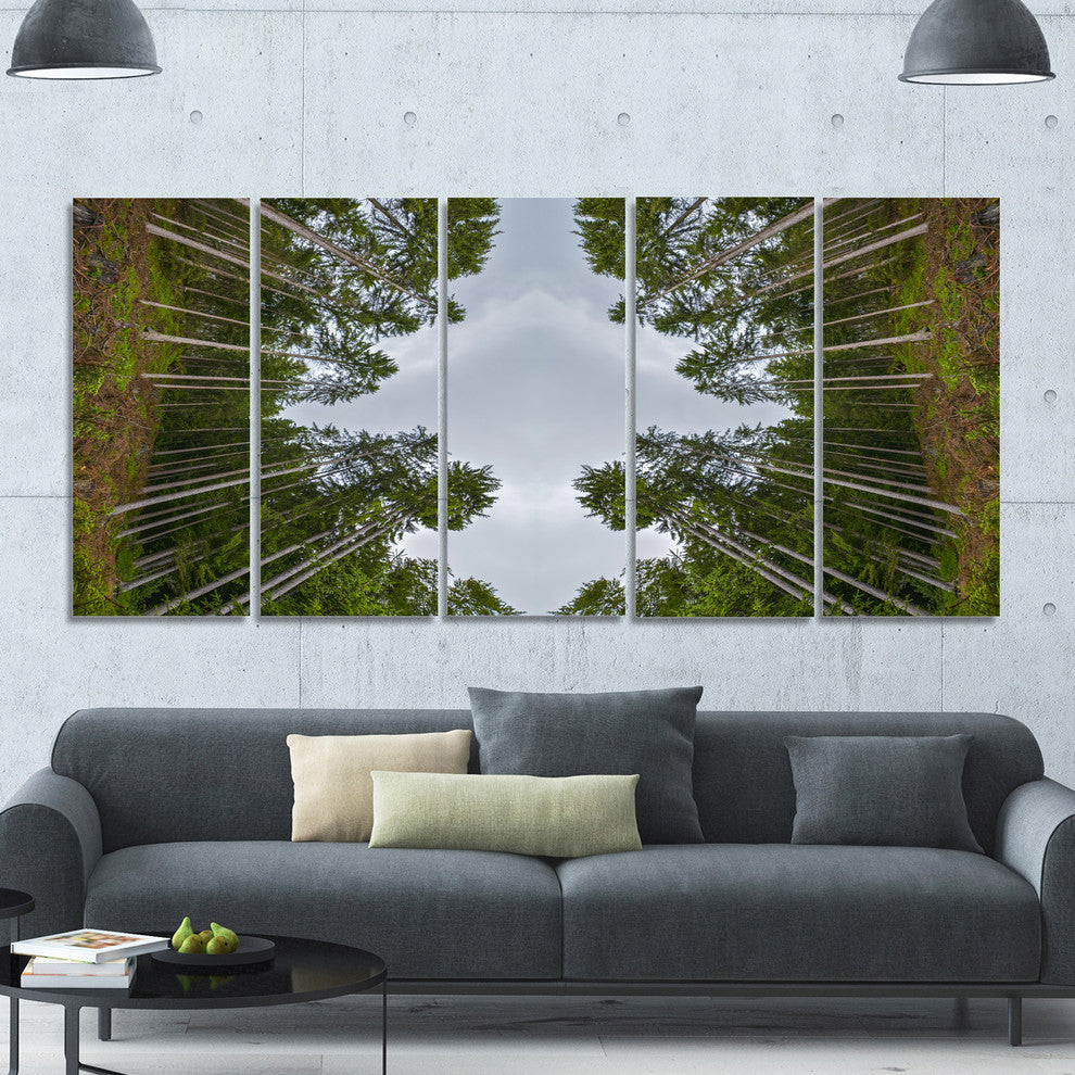Circle Composition of Coniferous Trees, Landscape Canvas Art, 60"x28", 5 Panels
