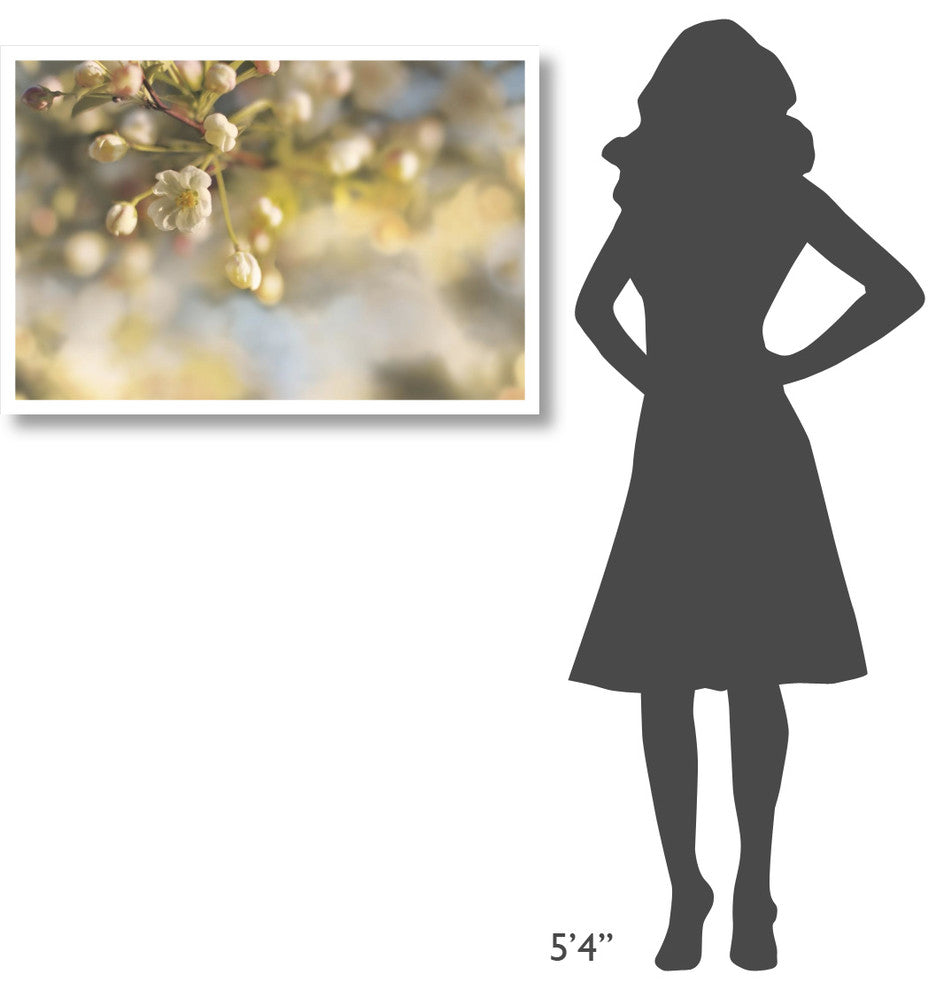 "Blush Blossoms II Pastel" Digital Paper Print by Sue Schlabach, 38"x26"