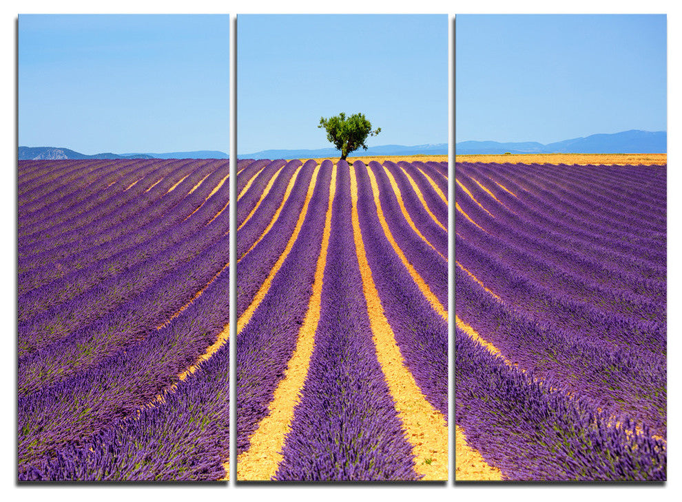 "Lonely Uphill Tree in Lavender Field" Metal Wall Art, 3 Panels, 36"x28"