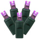 Vickerman X6G6506 50 Purple Wide Angle Led, 25' Christmas Single Light Strand