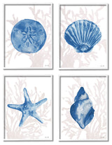 Blue Shells Starfish and Sand Dollar over Seaweed,4pc, each 16 x 20