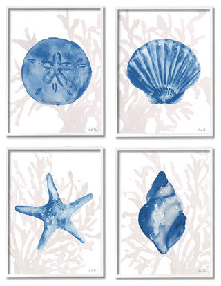 Blue Shells Starfish and Sand Dollar over Seaweed,4pc, each 16 x 20