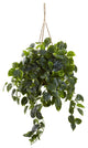 Pothos Hanging Basket UV Resistant, Indoor/Outdoor, Green