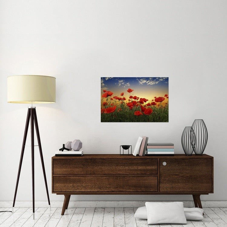 "Poppies" Stretched Canvas Giclee by Tais, 36x24"