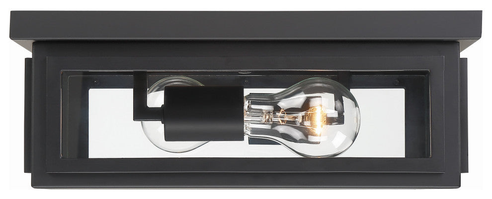 Byron 2-Light Matte Black Outdoor Ceiling Mount