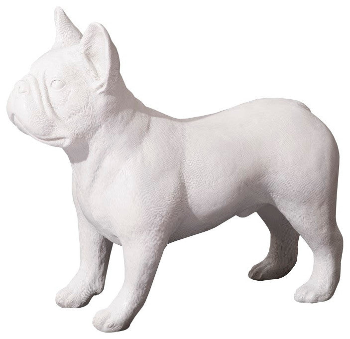 French Bulldog, Gel Coat White