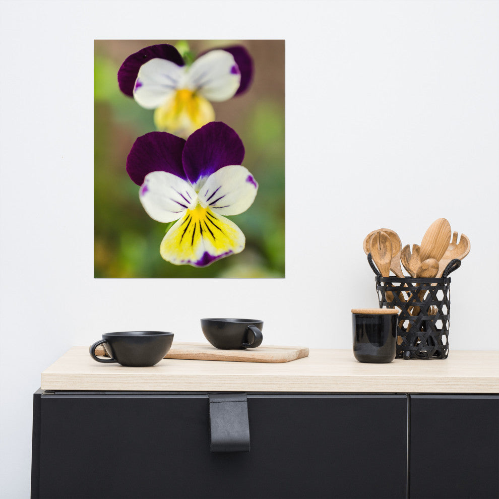 Pretty Little Violets Floral / Botanical Photograph Unframed Wall Art Prints, 16" X 20"