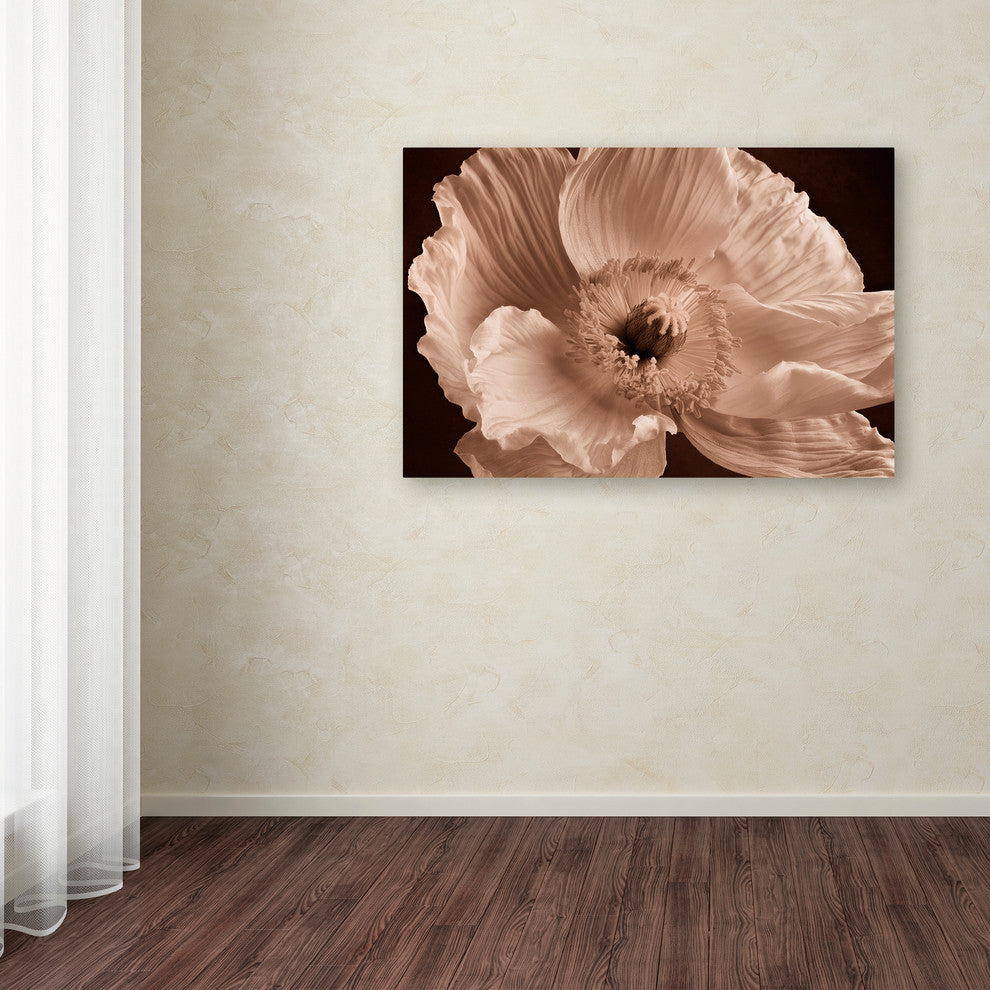 Cora Niele 'Sepia Poppy I' Canvas Art