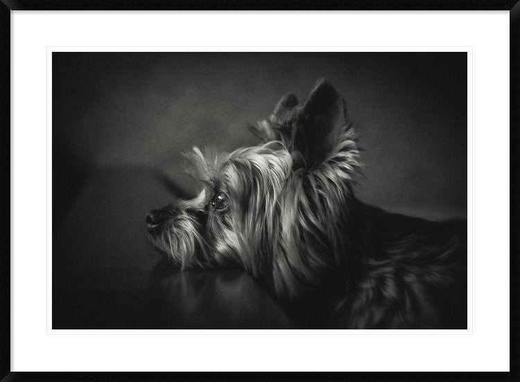 "I Have Been Waiting For You" Framed Digital Print by Krisztina Lacz, 38"x28"