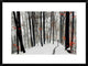 "Through Autumn And Winter" Framed Digital Print by Samanta, 30x22"