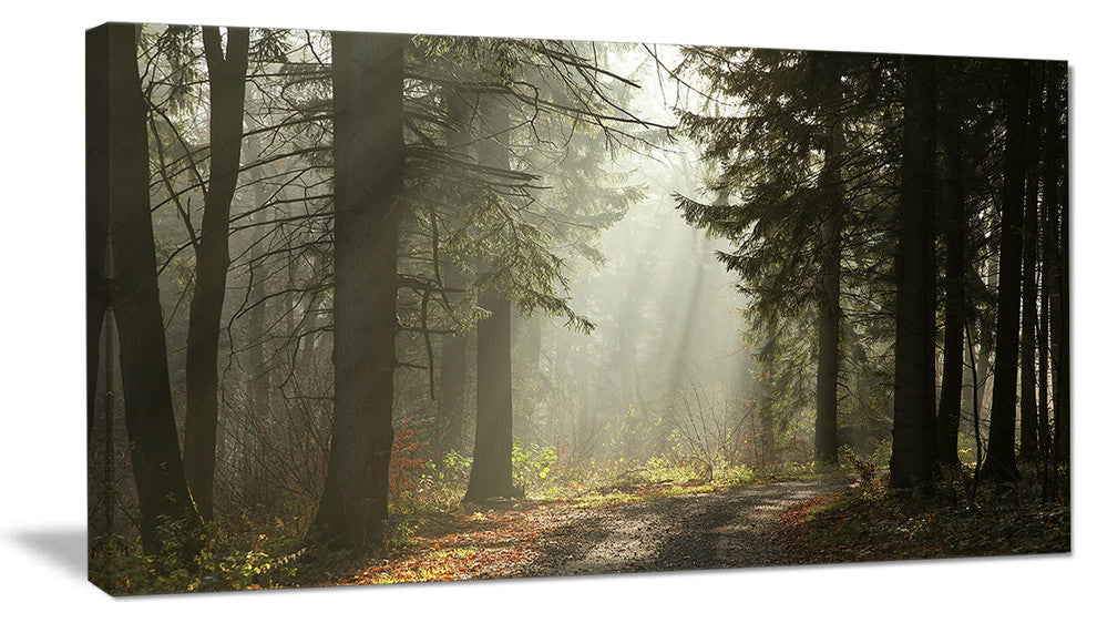 "Dark Green Forest With Sun Rays" Canvas Print, 32"x16"